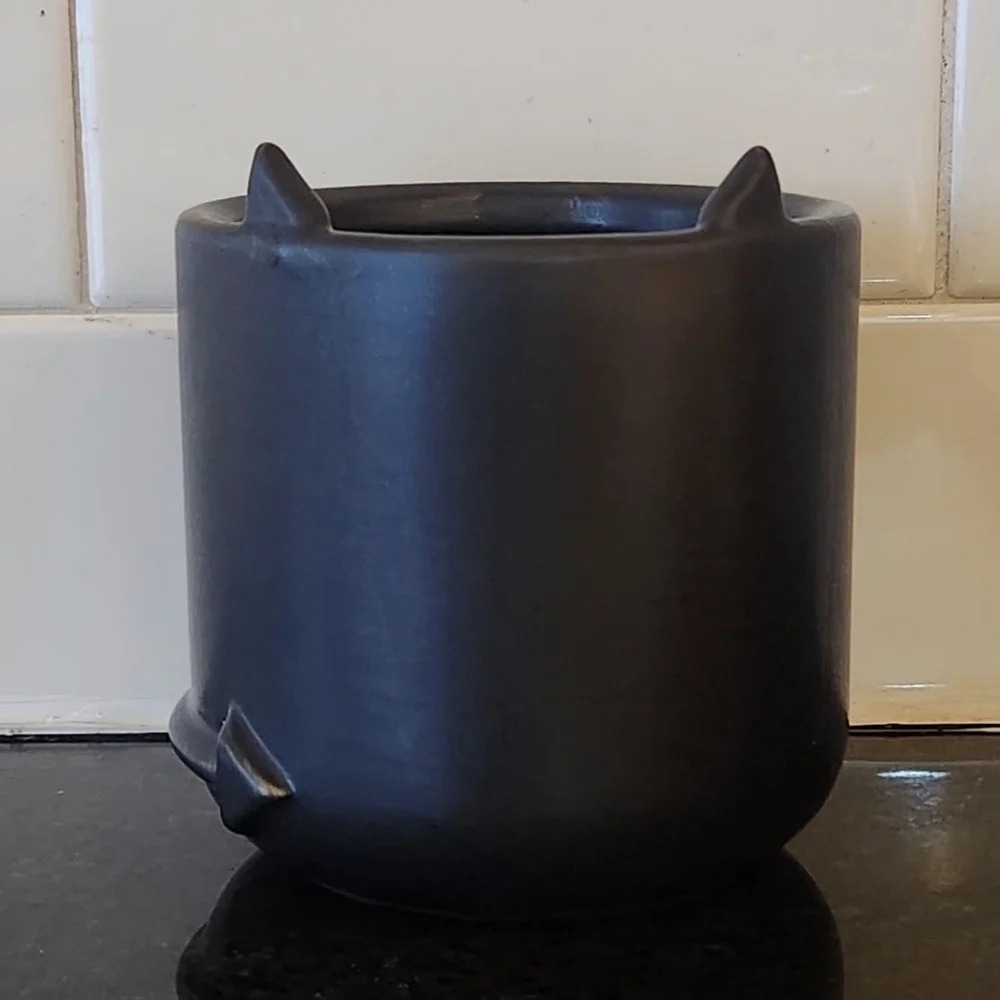 Urban Outfitters Minimalist Horned Mini Planter in Matte Black BNIB!